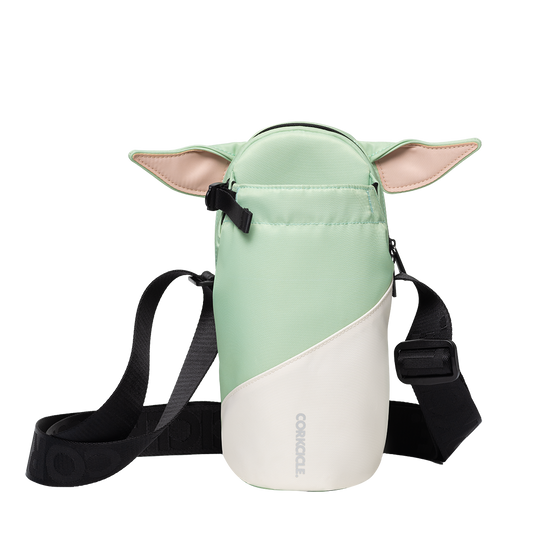 disney-sling-q1 DIS92S-S24-G-1.png