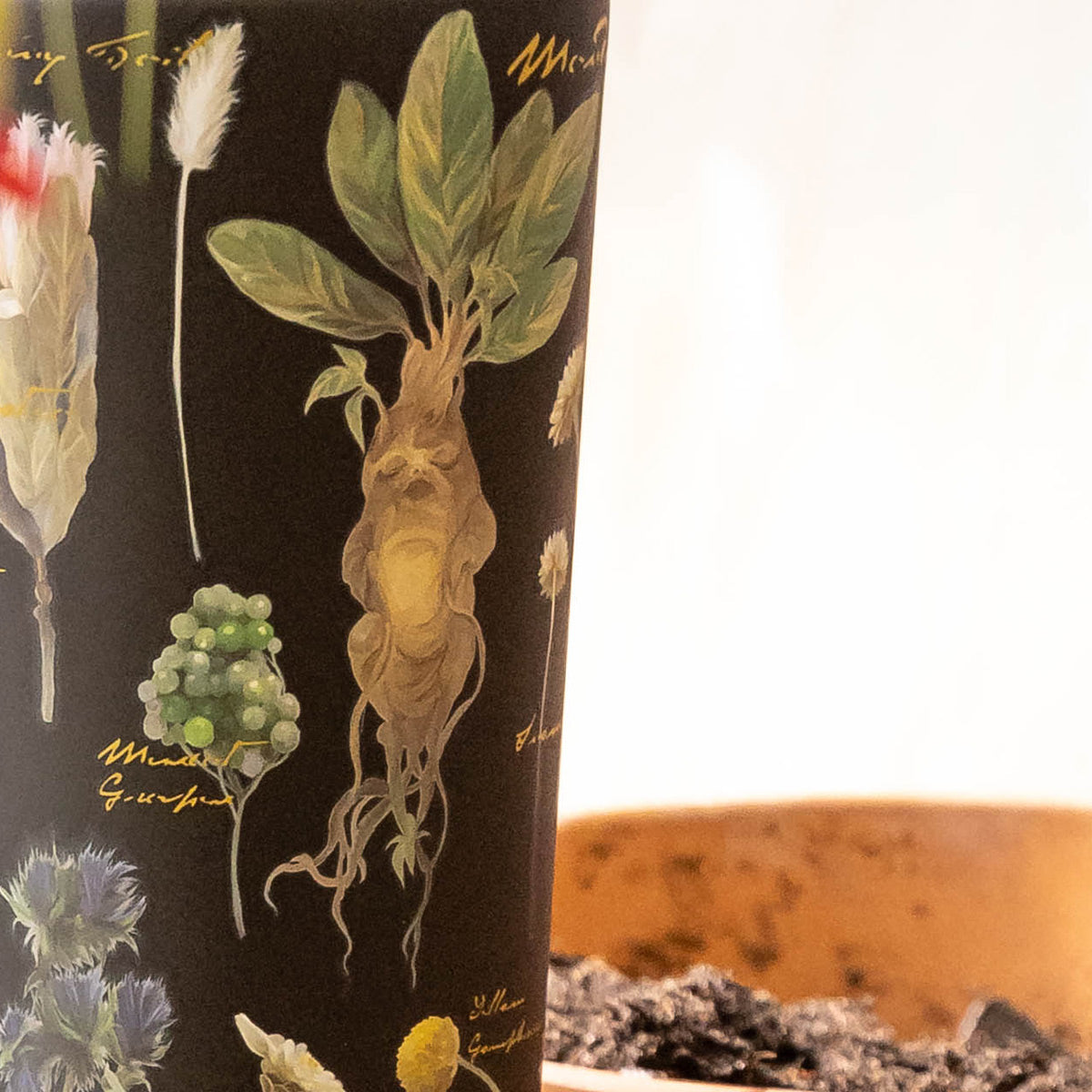 harry-potter-cold-cup-g9 Herbology-3.jpg
